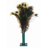 PURRfect - Natural Peacock Feathers